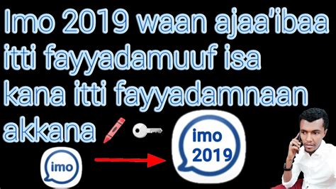 imo 2019|Iba pa.